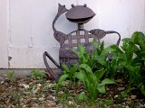 rando 8 aout 2011 031